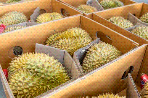 生鲜.gif