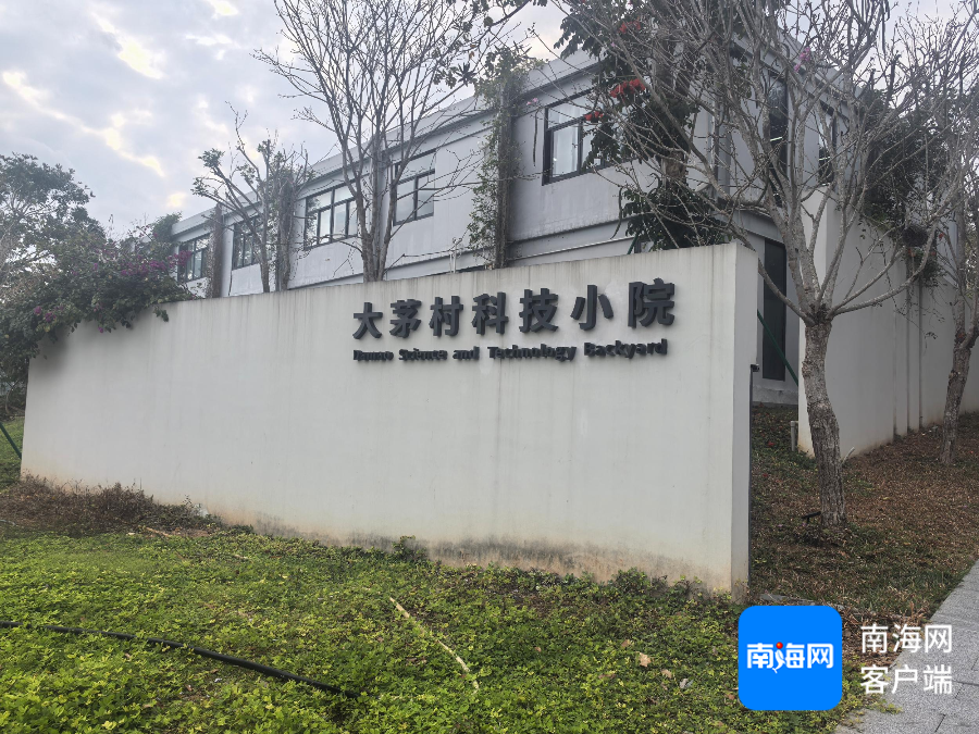 插入图片