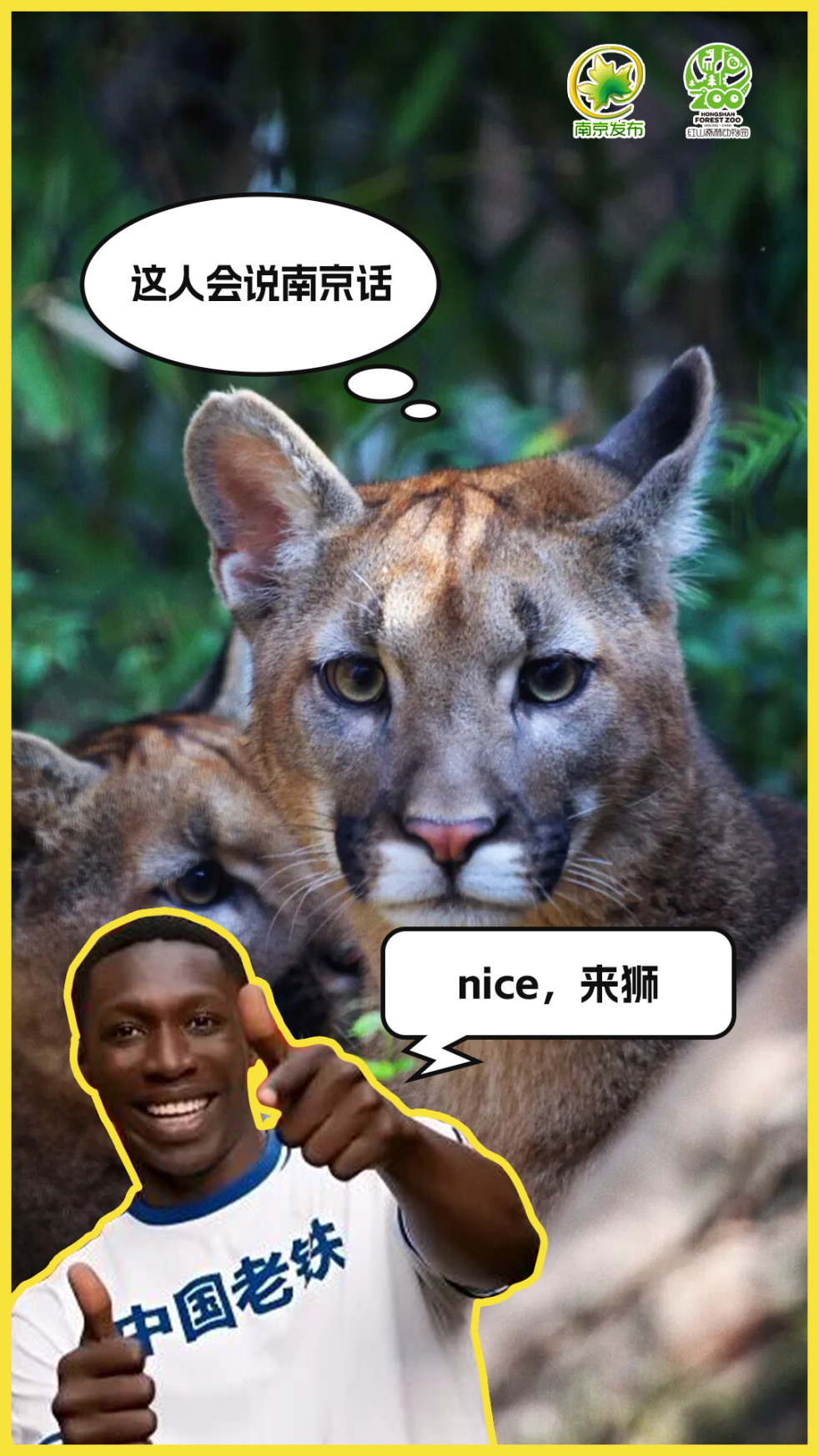 01.png