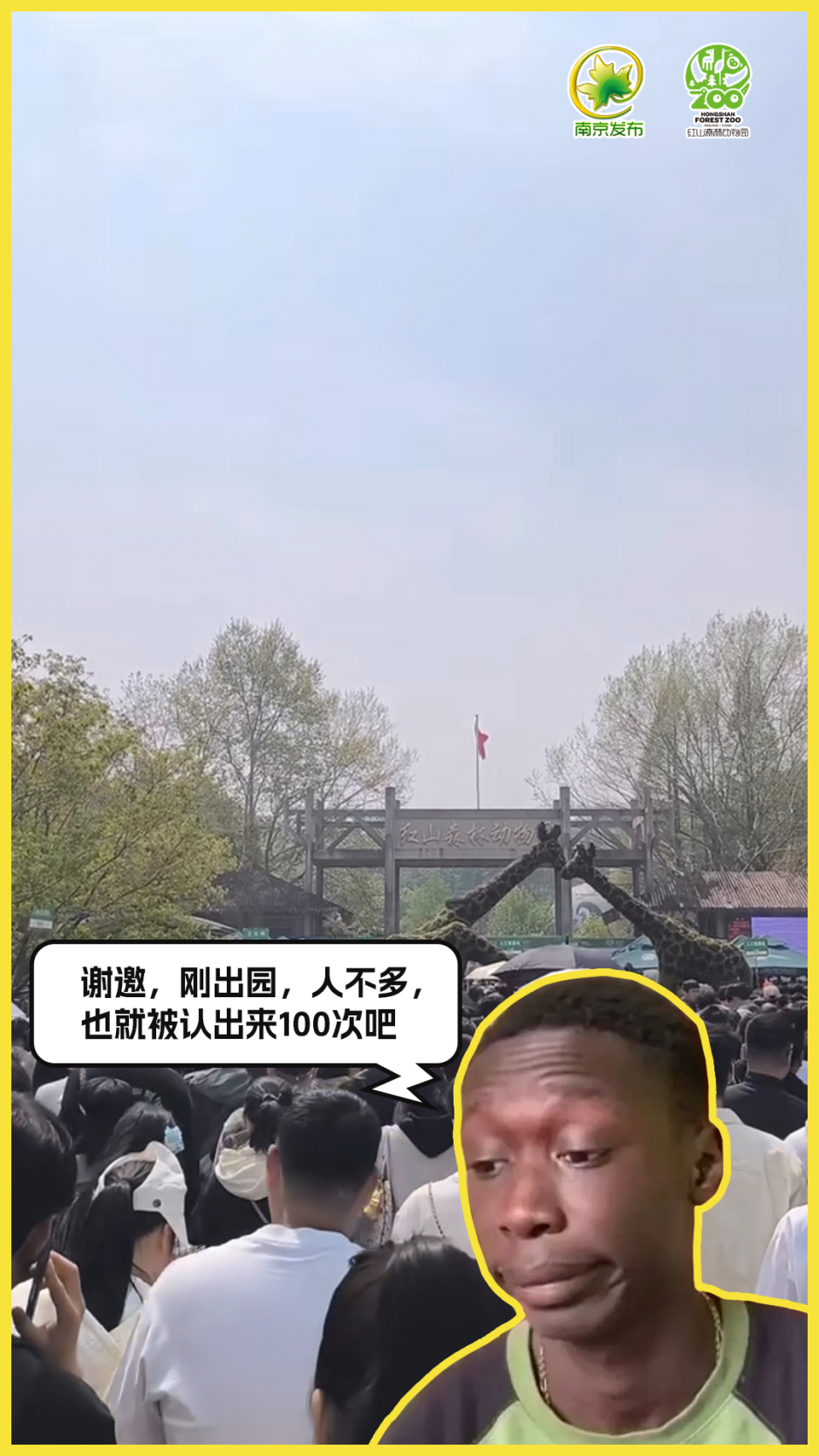 08.png