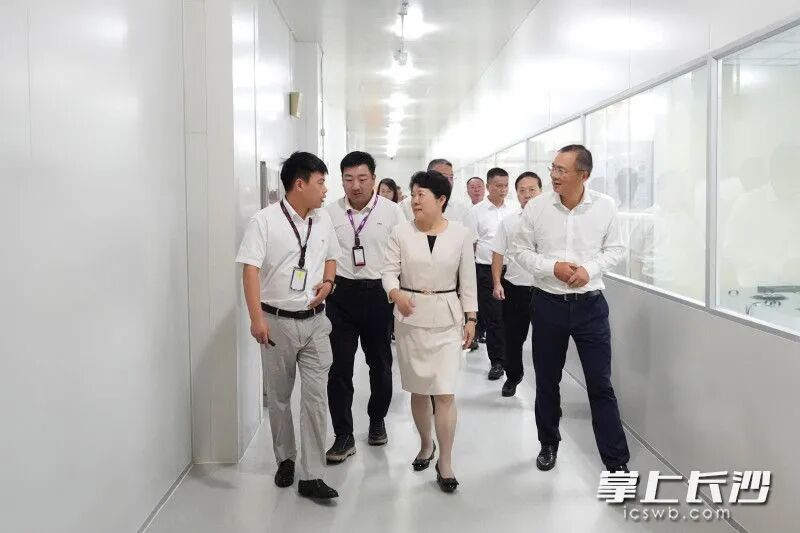 吳桂英在惠科股份有限公司考察交流。