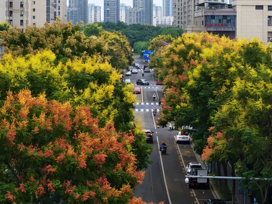 微信圖片_20250911084154_1589_252.jpg