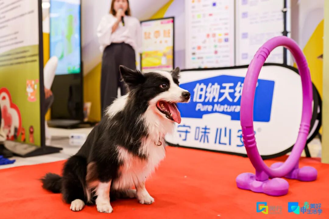 photoplus