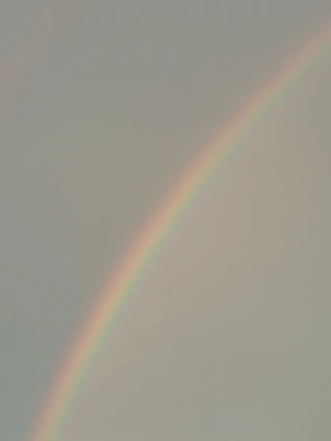 b6d35fe577ca8978ecca4c23f1519d8.jpg