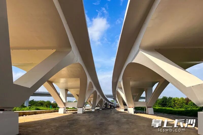 梧桐路三號橋采用雙幅橋體設計。 梧桐路三號橋采用雙幅橋體設計。