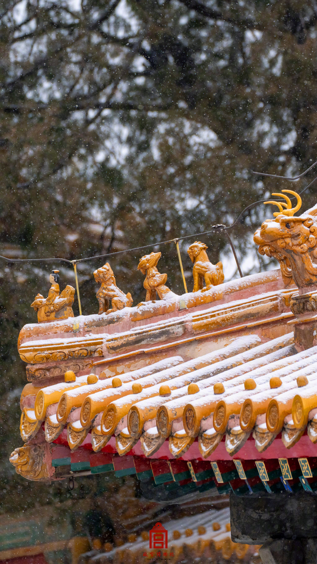 飛雪映朱墻，古城換銀裝。網友：終于等到了故宮初雪大片。