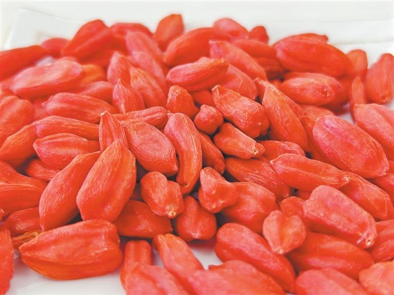 甘肅酒泉枸杞科技小院收獲的枸杞。新甘肅·甘肅日報記者 徐俊勇