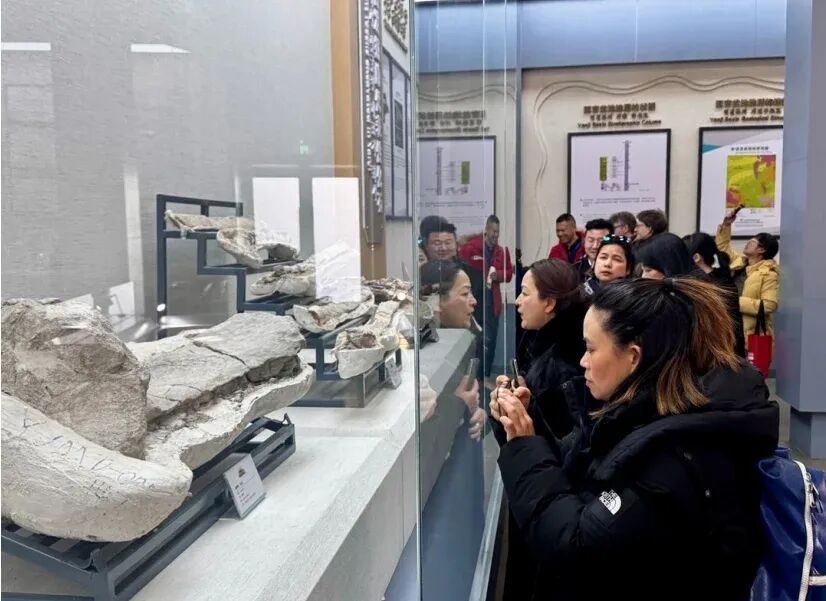國際旅行商代表在延吉恐龍博物館內參觀。