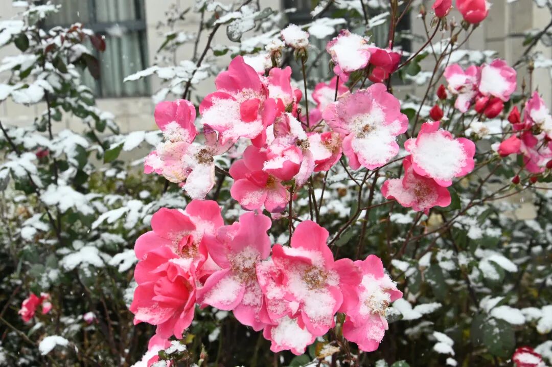 undefined f5787f653bb3968e4c79682250277bd.jpg