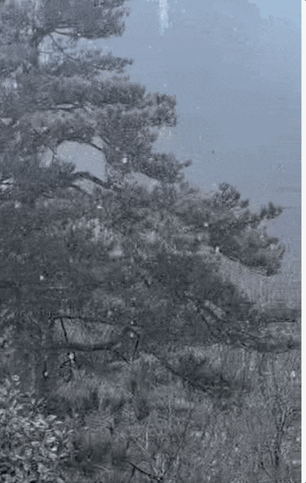 Dec-13-2025 11-03-22.gif