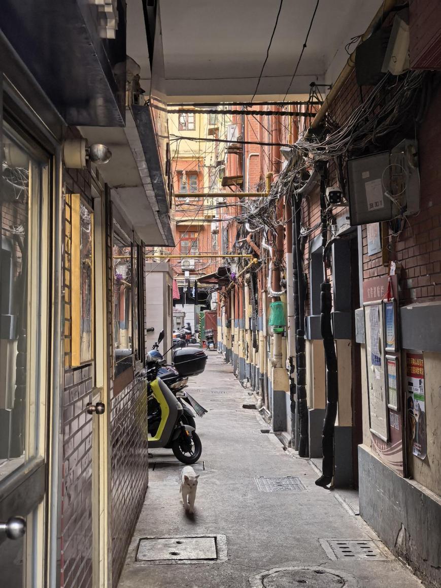 程金鑫居住的貴州路地塊弄堂內(nèi)景象。巨云鵬攝