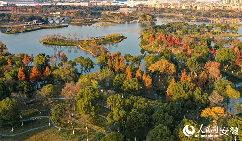 俯瞰大陽垾公園。人民網記者 張俊攝
