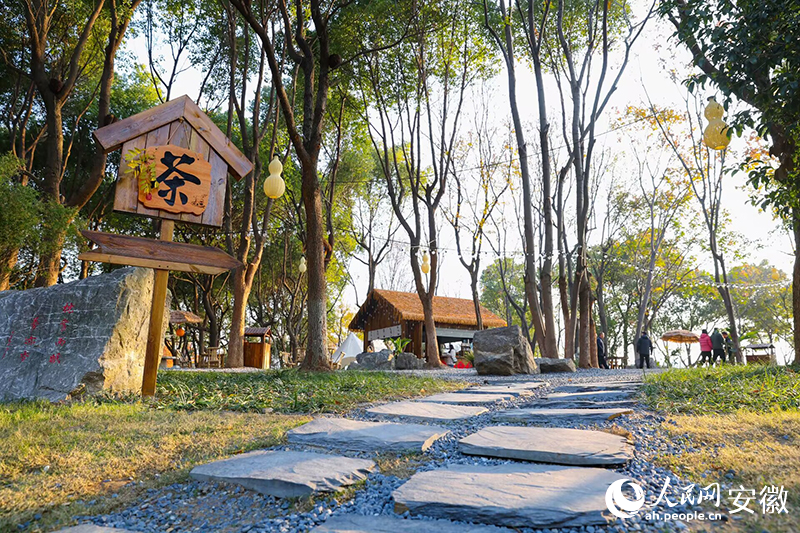 林下茶舍。人民網記者 張俊攝