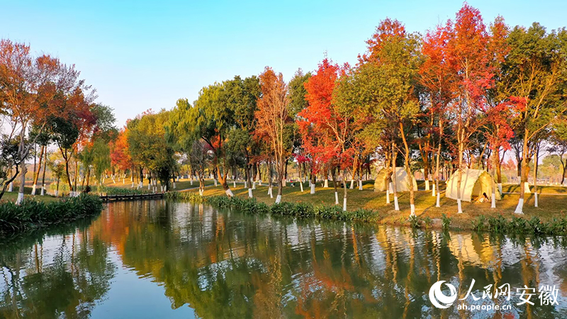 大陽垾公園一隅。人民網記者 張俊攝