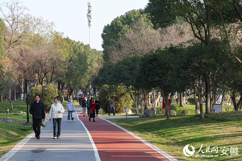市民在大陽垾公園散步休閑。人民網記者 張俊攝