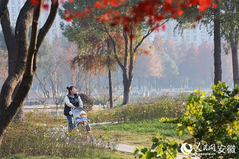 坐在手推車里的小朋友也來逛公園。人民網記者 張俊攝