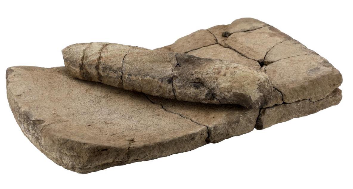 微信圖片_20251215013738