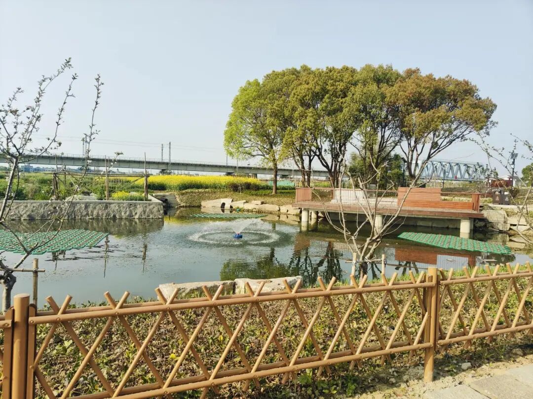 臨平街道丁塘社區水環境綜合提升項目.jpg