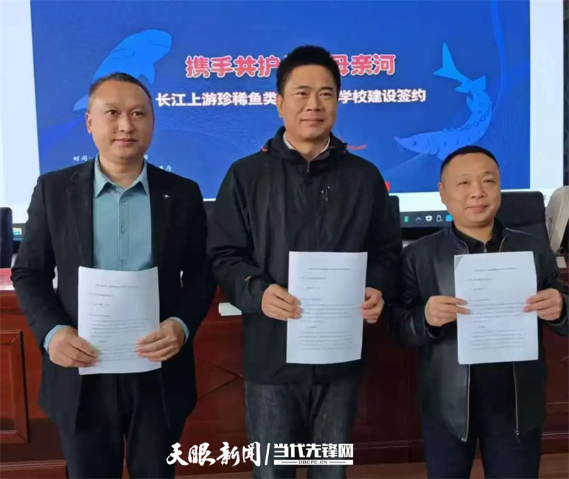 dD0xNzY1NzcxMDQwX3I9NjljNTQxZDVfdz04MDBfcT0xMDBfZT1qcGc=.webp 739041955.jpg