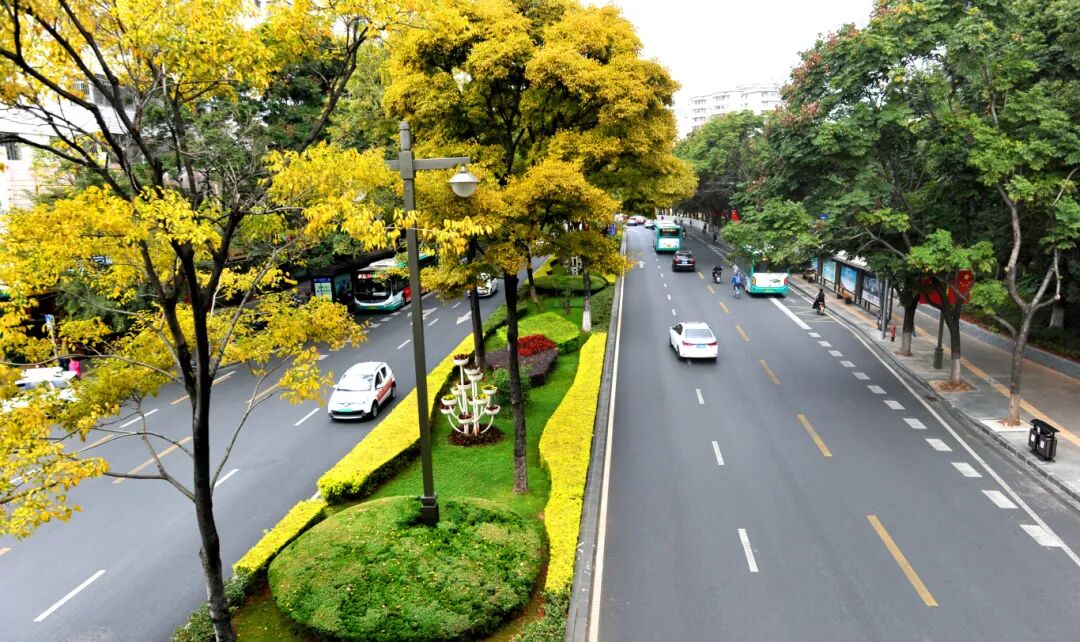 人民路綠樹成蔭。記者黃曉松攝.JPG