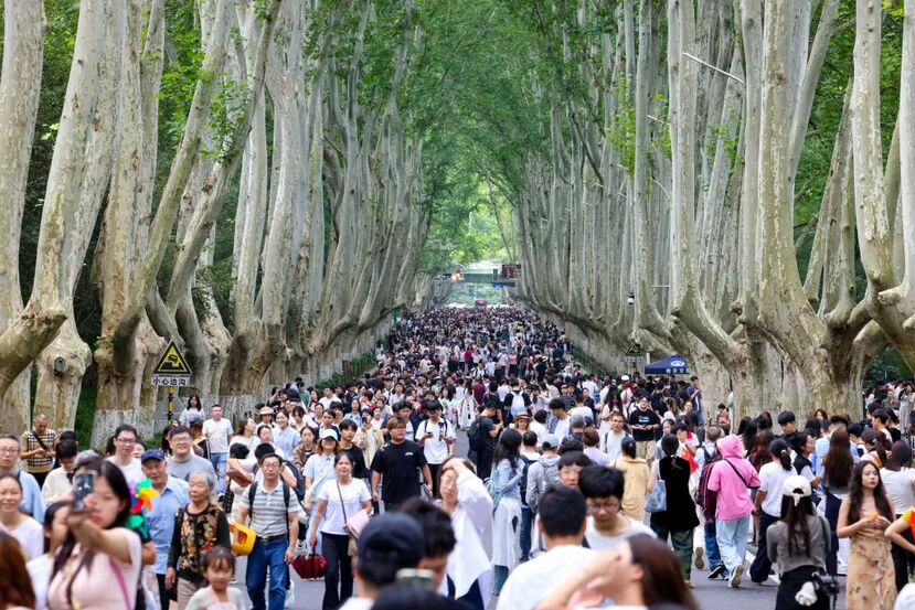 國慶假期，游客漫步陵園路。南京日報/紫金山新聞記者 段仁虎 攝