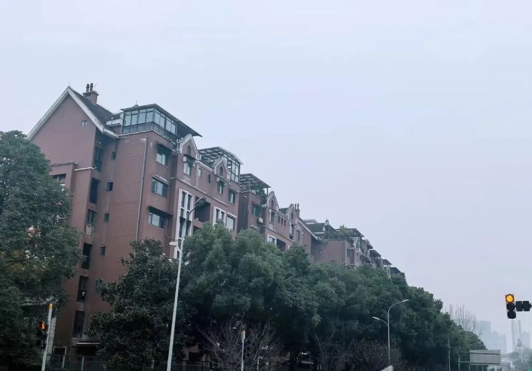 今日重慶中心城區陰天到多云。第1眼TV-華龍網記者 李舒 攝