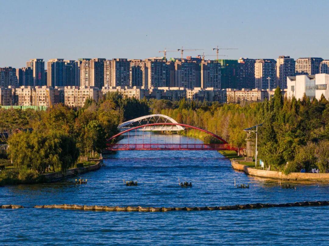 ZMI 2024 寶豐濕地 周密攝_2.jpg