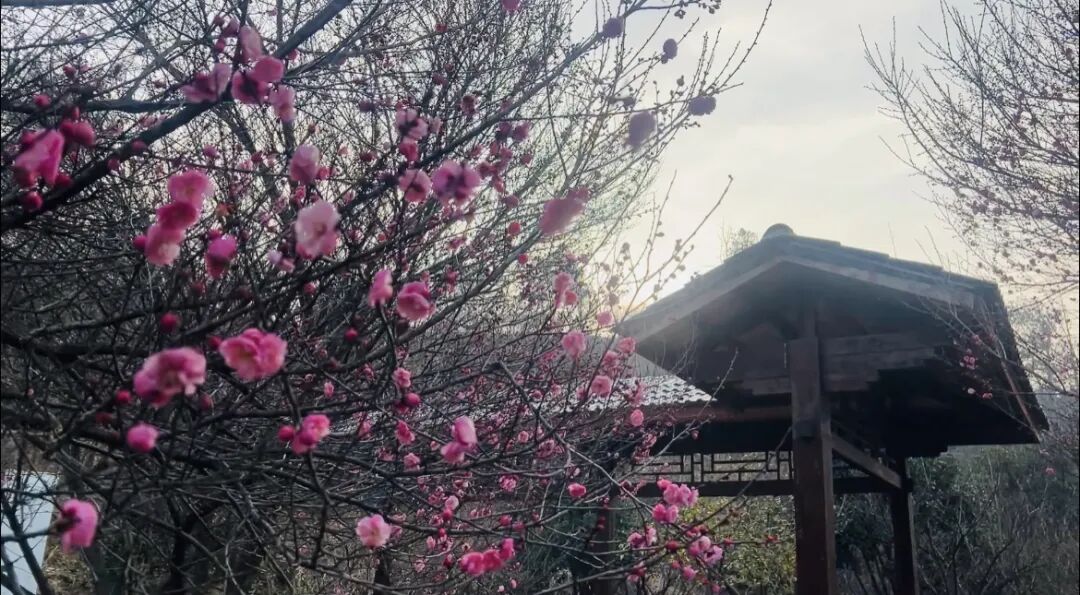 微信圖片_20251220114612_231_176